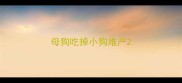 母狗吃掉小狗难产