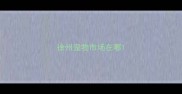 徐州宠物市场在哪