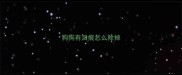狗狗有泪痕怎么除掉