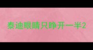 泰迪眼睛只睁开一半