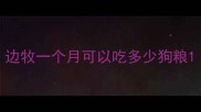 边牧一个月可以吃多少狗粮