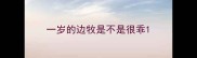 一岁的边牧是不是很乖