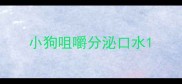 小狗咀嚼分泌口水