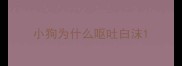小狗为什么呕吐白沫