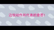 边牧动作所代表的意思