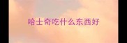 哈士奇吃什么东西好