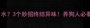 哈士奇总流口水3个妙招终结异味养狗人必看护理指南