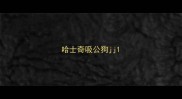 哈士奇吸公狗jj