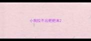 小狗拉不出粑粑来