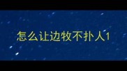 怎么让边牧不扑人