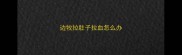 边牧拉肚子拉血怎么办
