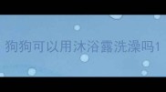 狗狗可以用沐浴露洗澡吗