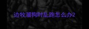 边牧溜狗时乱跑怎么办
