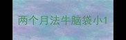 两个月法牛脑袋小
