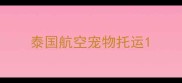 泰国航空宠物托运