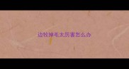 边牧掉毛太厉害怎么办