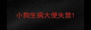 小狗生病大便失禁