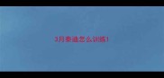 3月泰迪怎么训练
