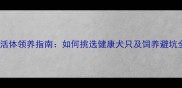哈士奇活体领养指南如何挑选健康犬只及饲养避坑全攻略