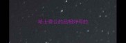 哈士奇公的品相好母的
