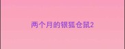 两个月的银狐仓鼠