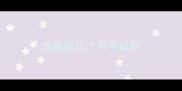 成猫粮几个月可以吃