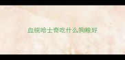 血统哈士奇吃什么狗粮好