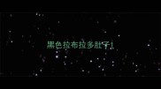 黑色拉布拉多肚子