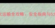3个月大幼犬运输全攻略安全指南与5大注意事项