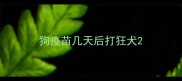 狗疫苗几天后打狂犬