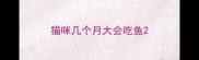 猫咪几个月大会吃鱼