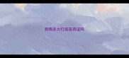 狗狗多大打疫苗有证吗