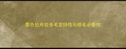 黑色拉布拉多毛发特性与修毛必要性