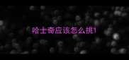 哈士奇应该怎么挑
