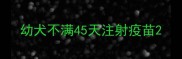 幼犬不满45天注射疫苗