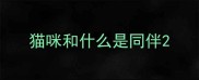 猫咪和什么是同伴