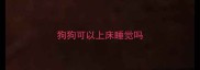 狗狗可以上床睡觉吗
