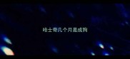 哈士奇几个月是成狗