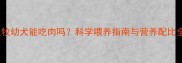 边牧幼犬能吃肉吗科学喂养指南与营养配比全