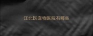 江北区宠物医院有哪些