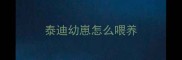 泰迪幼崽怎么喂养