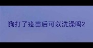 狗打了疫苗后可以洗澡吗