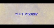 2017日本宠物展