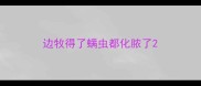 边牧得了螨虫都化脓了
