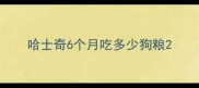 哈士奇6个月吃多少狗粮