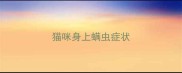 猫咪身上螨虫症状