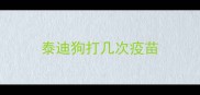 泰迪狗打几次疫苗