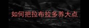 如何把拉布拉多养大点
