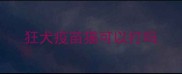狂犬疫苗猫可以打吗
