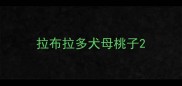 拉布拉多犬母桃子
